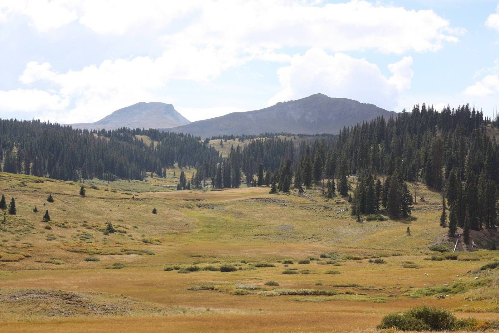 An open mountain meadow and forest below flat-topped peaks in the Rio Grande National Forest