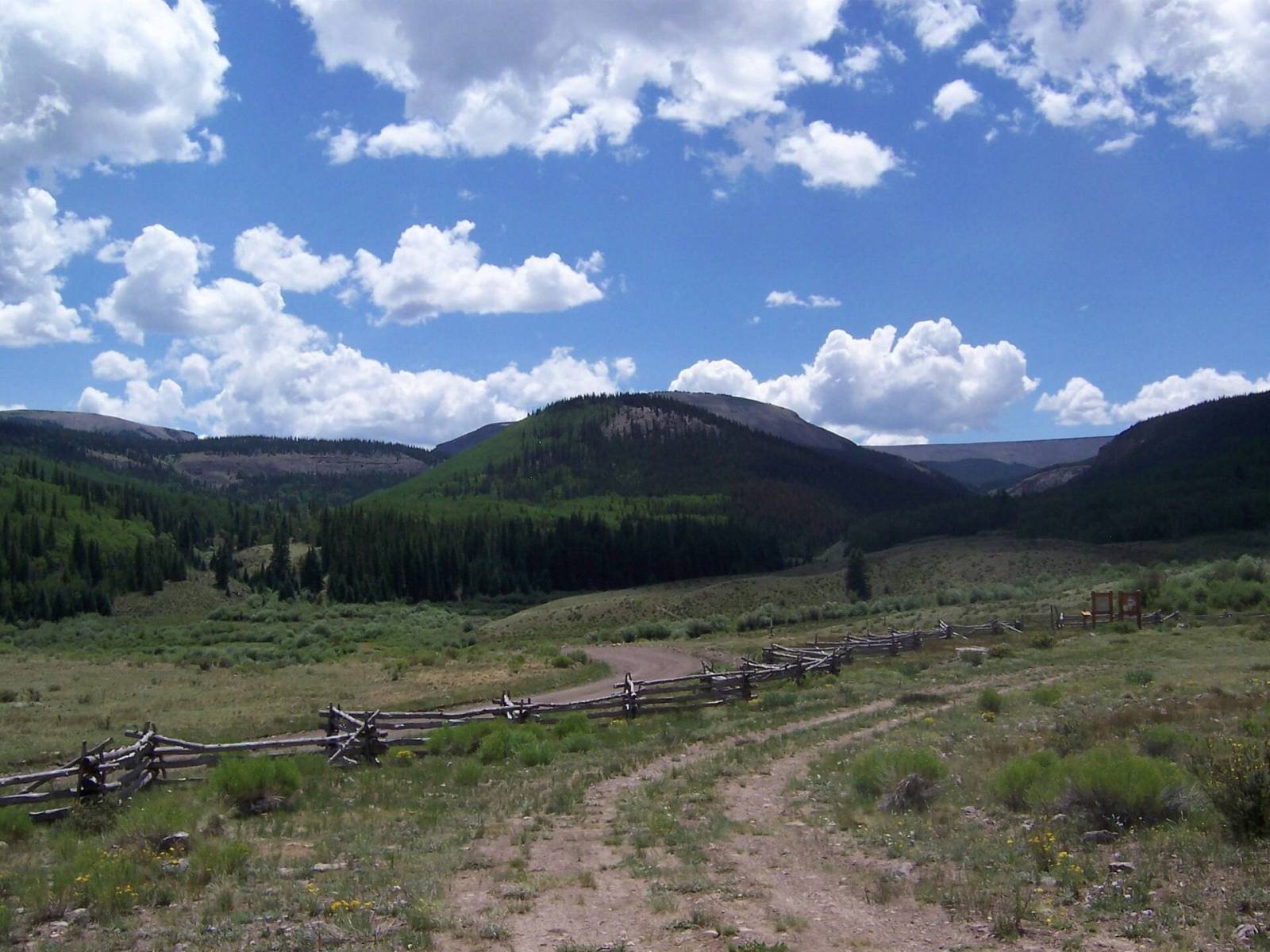A dirt road and a split-rail fence in a green meadow near the La Garita Wilderness