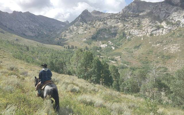 A rider on horseback crossing a green mountain valley